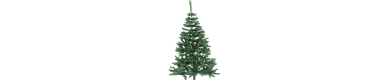 Sapins
